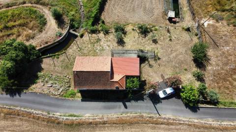 Quinta c/ Habitação - Teixoso