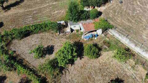 Quinta c/ Habitação - Teixoso