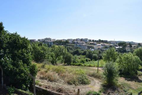 Quinta c/ Habitação - Teixoso