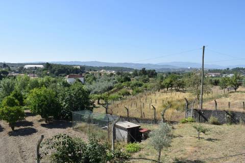Quinta c/ Habitação - Teixoso