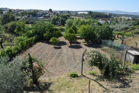 Quinta c/ Habitação - Teixoso