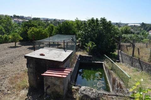 Quinta c/ Habitação - Teixoso