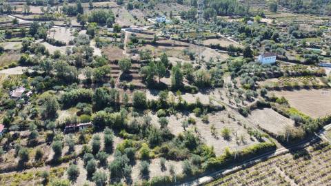 Terreno - Ferro a 10 min da Covilhã