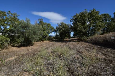 Terreno - Ferro a 10 min da Covilhã