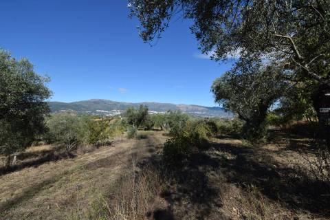 Terreno - Ferro a 10 min da Covilhã