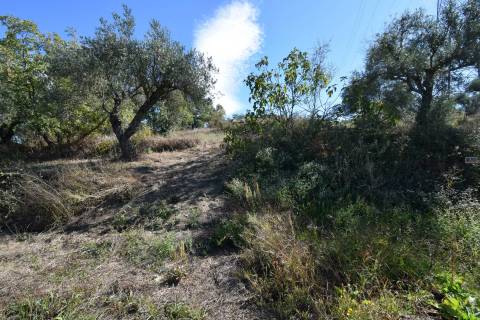 Terreno - Ferro a 10 min da Covilhã