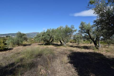 Terreno - Ferro a 10 min da Covilhã