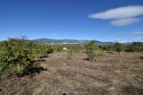 Terreno - Ferro a 10 min da Covilhã