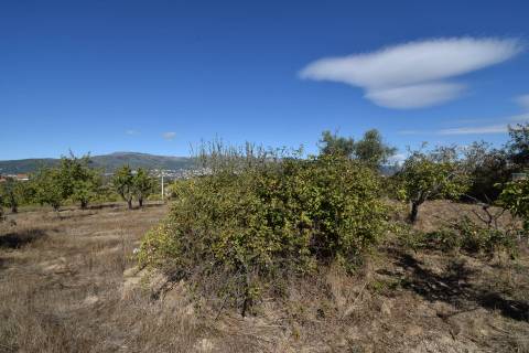 Terreno - Ferro a 10 min da Covilhã