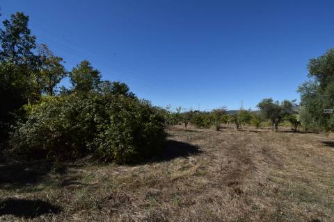 Terreno - Ferro a 10 min da Covilhã