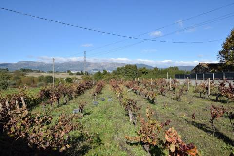 Quintinha c/ Moradia V3 - Peraboa - Covilhã