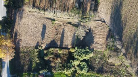 Terreno Rústico - Orjais - Covilhã