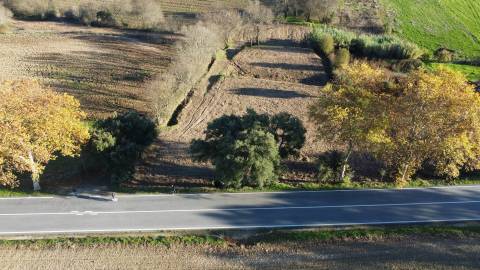 Terreno Rústico - Orjais - Covilhã