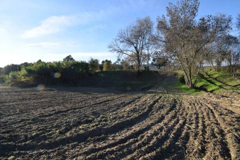 Terreno Rústico - Orjais - Covilhã