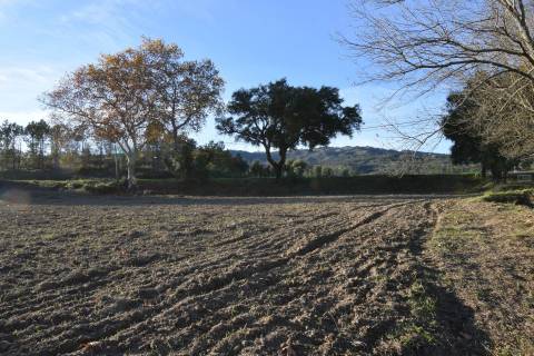 Terreno Rústico - Orjais - Covilhã