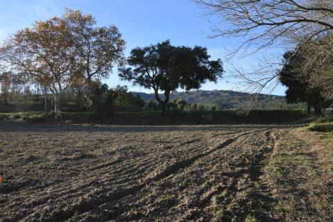 Terreno Rústico - Orjais - Covilhã