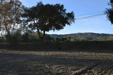 Terreno Rústico - Orjais - Covilhã