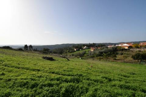 Moradia p/ Recuperar - Vila Ruivas