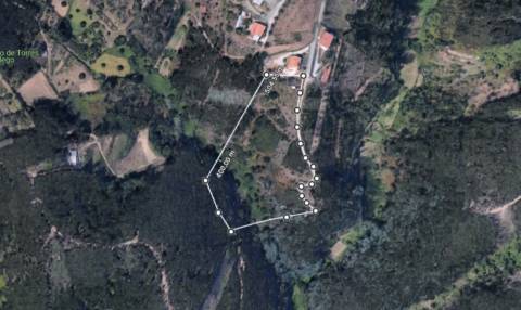 Terreno -  Dianteiro - Cova do Ouro