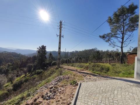 Terreno -  Dianteiro - Cova do Ouro