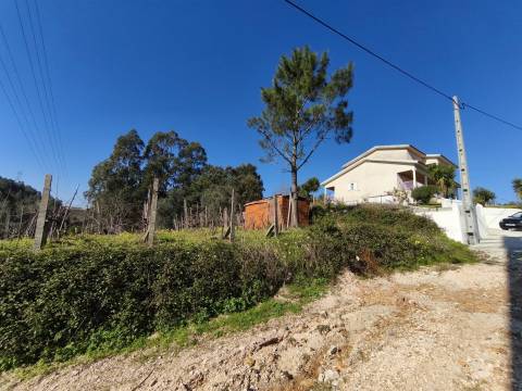 Terreno -  Dianteiro - Cova do Ouro