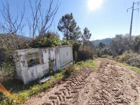 Terreno -  Dianteiro - Cova do Ouro