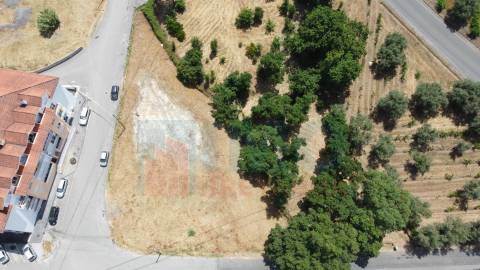 Terreno p/ Construção - Vila Nova de Poiares