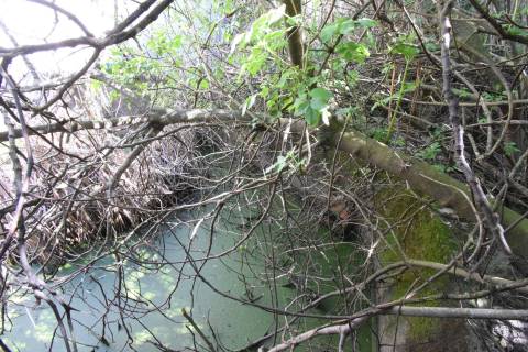 Armazém / Edifício Fabril -  Poldras - Covilhã