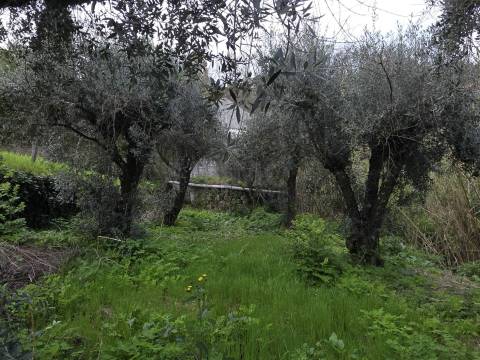 Armazém / Edifício Fabril -  Poldras - Covilhã