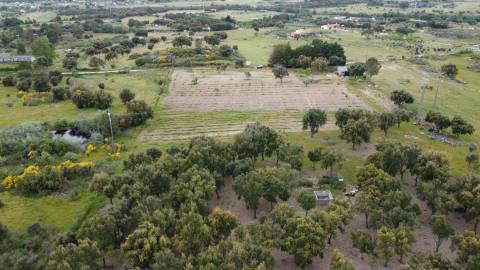 Quinta - Tapada da Misericórdia  - Castelo Branco