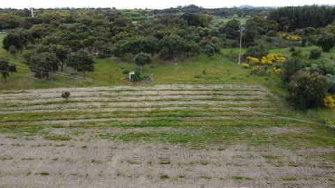 Quinta - Tapada da Misericórdia  - Castelo Branco
