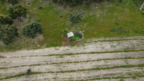 Quinta - Tapada da Misericórdia  - Castelo Branco