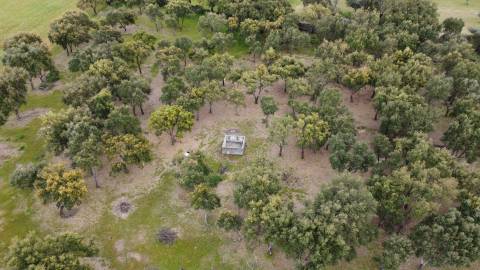 Quinta - Tapada da Misericórdia  - Castelo Branco