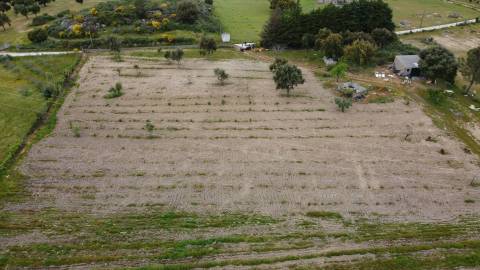 Quinta - Tapada da Misericórdia  - Castelo Branco