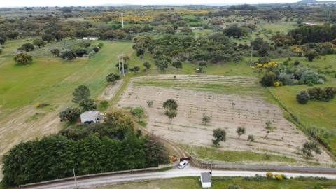 Quinta - Tapada da Misericórdia  - Castelo Branco