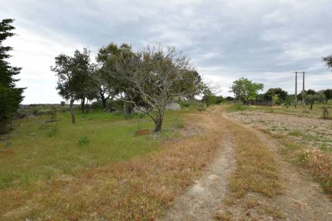 Quinta - Tapada da Misericórdia  - Castelo Branco