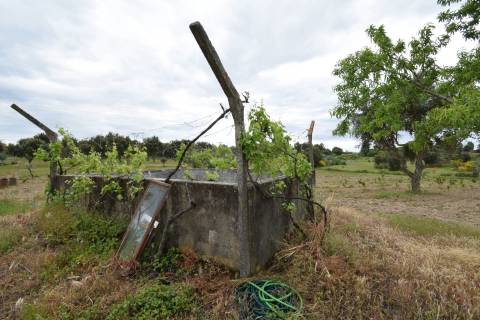 Quinta - Tapada da Misericórdia  - Castelo Branco