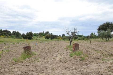 Quinta - Tapada da Misericórdia  - Castelo Branco