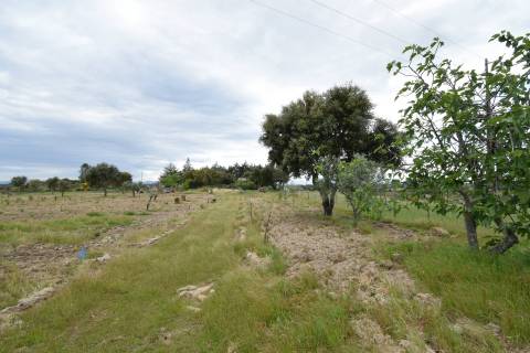 Quinta - Tapada da Misericórdia  - Castelo Branco