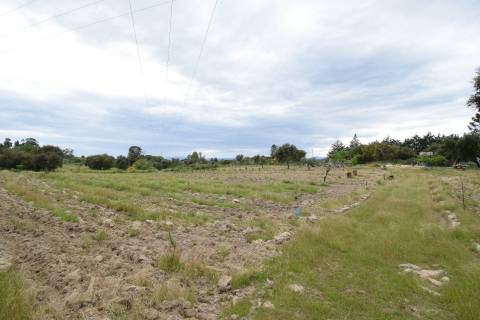 Quinta - Tapada da Misericórdia  - Castelo Branco