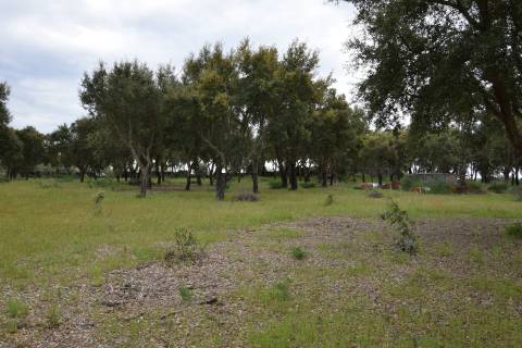 Quinta - Tapada da Misericórdia  - Castelo Branco