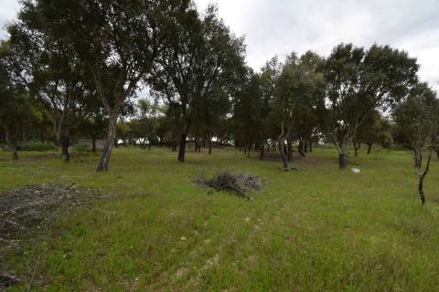 Quinta - Tapada da Misericórdia  - Castelo Branco