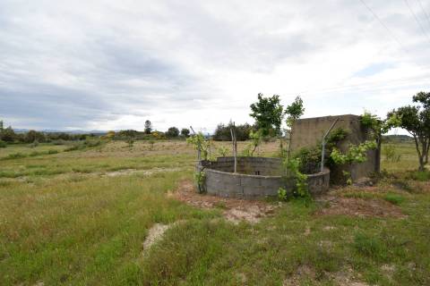 Quinta - Tapada da Misericórdia  - Castelo Branco