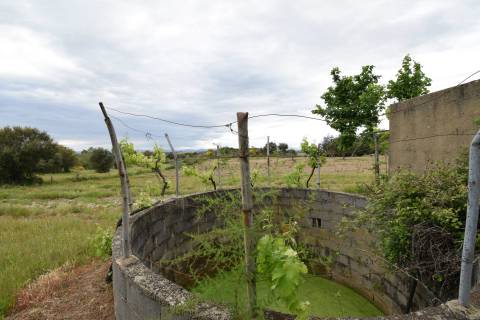Quinta - Tapada da Misericórdia  - Castelo Branco