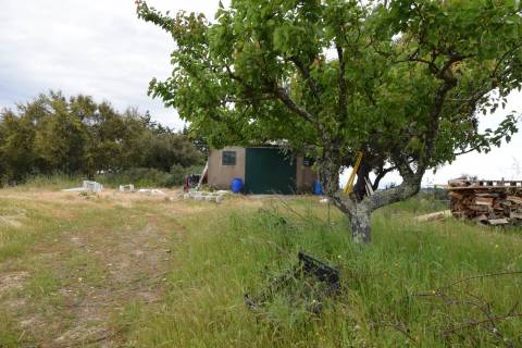 Quinta - Tapada da Misericórdia  - Castelo Branco