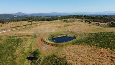 Herdade com 14Ha -Lomba Chã- Sarzedas - 20 min de Castelo Branco