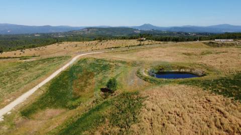 Herdade com 14Ha -Lomba Chã- Sarzedas - 20 min de Castelo Branco