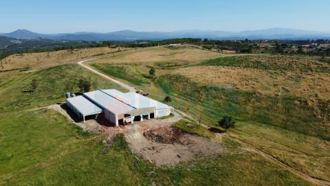 Herdade com 14Ha -Lomba Chã- Sarzedas - 20 min de Castelo Branco