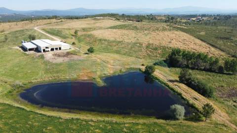 Herdade com 14Ha -Lomba Chã- Sarzedas - 20 min de Castelo Branco