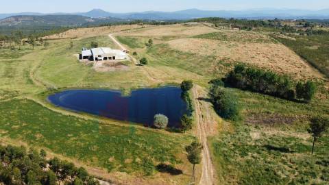 Herdade com 14Ha -Lomba Chã- Sarzedas - 20 min de Castelo Branco